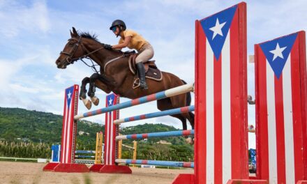 Otro gran nivel presentado en concurso de salto de deporte ecuestre