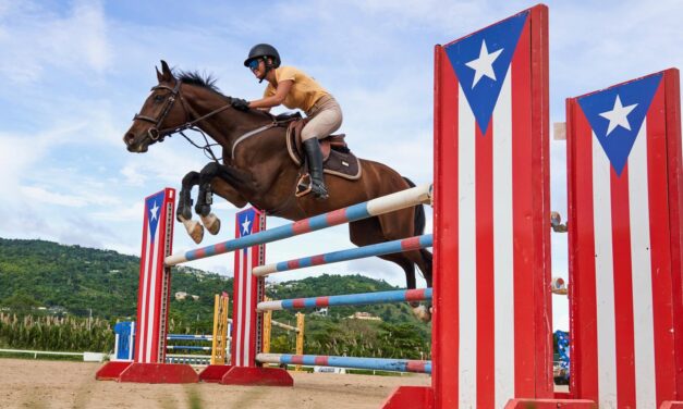 Otro gran nivel presentado en concurso de salto de deporte ecuestre