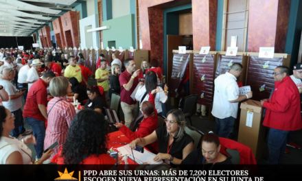 PPD abre sus urnas: más de 7,200 electores escogen nueva representación en su Junta de Gobierno
