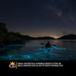 DRNA investiga posible reducción de bioluminiscencia en Puerto Mosquito
