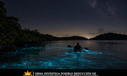 DRNA investiga posible reducción de bioluminiscencia en Puerto Mosquito