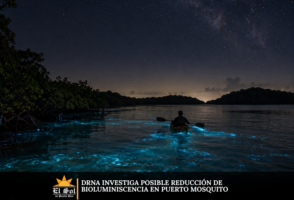 DRNA investiga posible reducción de bioluminiscencia en Puerto Mosquito