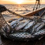 DRNA agiliza licencias para pescadores y reporta cifra récord en Puerto Rico